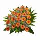 Smuteční kytice KR9 - pyramida gerbery